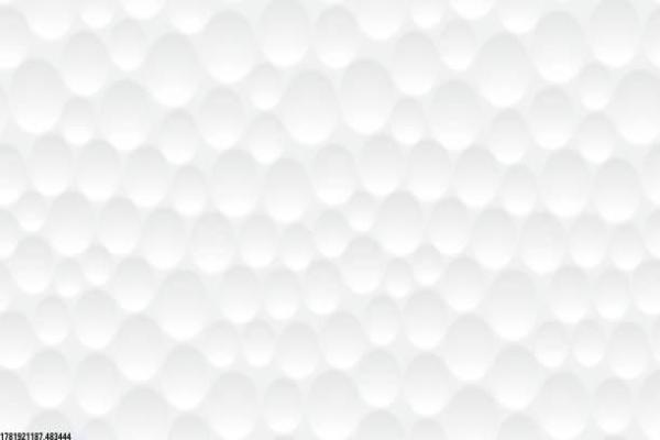 体育教师专业培训方案与实战经验分享(图1)